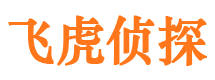 平陆市婚姻调查